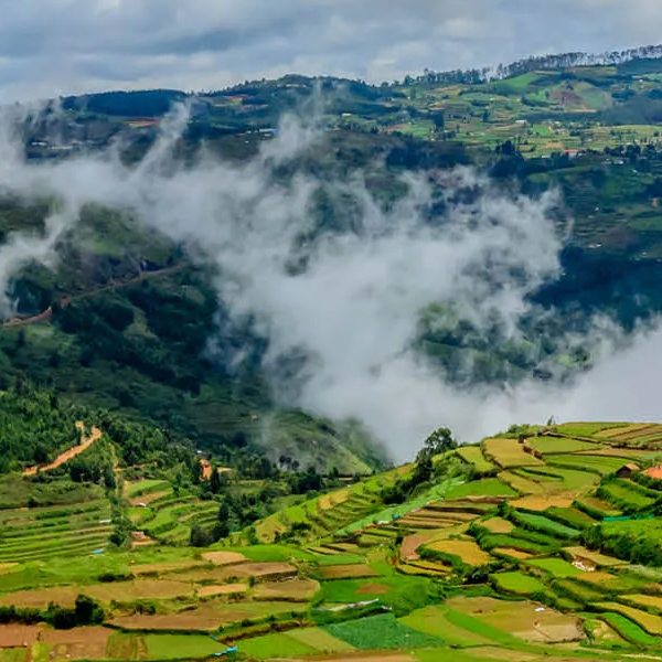 OOTY SPECIAL TOUR.jpg